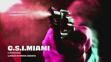 C.S.I. Miami
