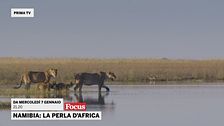 Namibia: la perla d'Africa