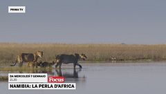Namibia: la perla d'Africa