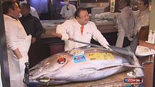 Asta record per un tonno da 243kg: comprato per 2,8 milioni di euro