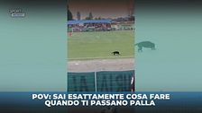 Sai cosa fare con il pallone