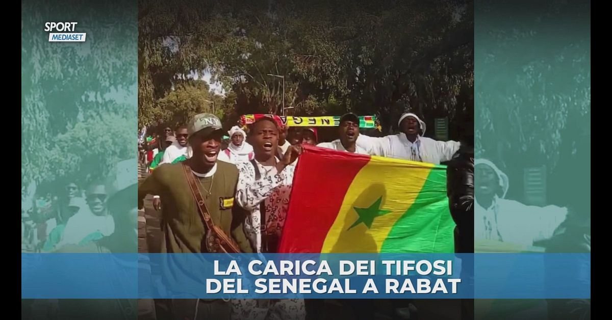 PopSocket Senegalese: Supporto Per Telefono Con Bandiera Del Senegal E Pallone Da Calcio, PopGrip Intercambiabile Per Tifosi Di Calcio, Idea Regalo Per Appassionati Di Sport E Calciatori - 5