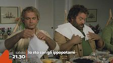 Io sto con gli ippopotami