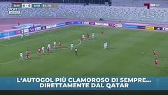 Mai visto nulla del genere!