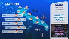 Tg Meteo Regionale Puglia