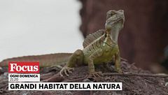 Grandi habitat della natura