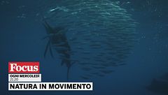 Natura in movimento