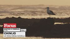 Chinijo. Le isole degli uccelli