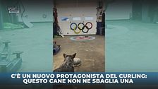 Nuovo atleta di curling