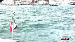 Venezia adotta il delfino Nane, nasce un progetto per monitorarlo