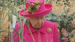 Dalla famiglia reale 12 milioni di sterline ad Andrea per zittire Giuffre