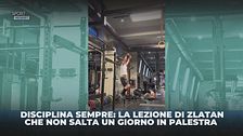 Zlatan: "Disciplina sempre"