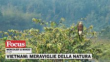 Vietnam: meraviglie della natura