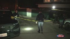 Usa, spari contro la villa di Rihanna: illesa la cantante