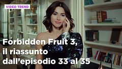 Forbidden Fruit 3, il riassunto degli episodi 33-35