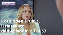 Forbidden Fruit 3, il riassunto degli episodi 29-37