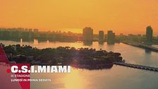 C.S.I. Miami