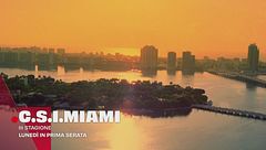 C.S.I. Miami