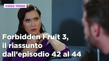 Forbidden Fruit 3, il riassunto degli episodi 42-44