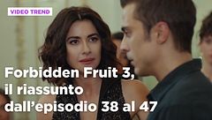 Forbidden Fruit 3, il riassunto degli episodi 38-47