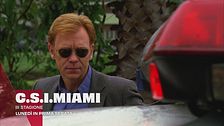 C.S.I. Miami