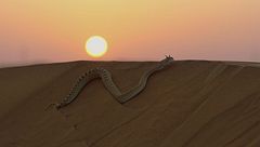 Dall'alba al tramonto