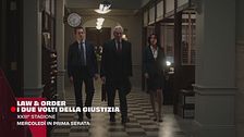 Law & Order - I due volti della giustizia