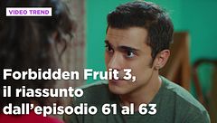 Forbidden Fruit 3, il riassunto degli episodi 61-63