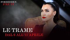 Le trame dal 6 all'11 aprile