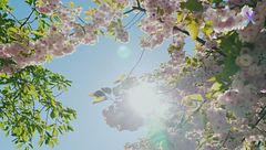 Primi passi open air: vivere la primavera all'insegna del design