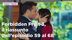 Forbidden Fruit 3, il riassunto degli episodi 59-68
