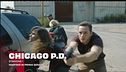 Chicago P.D.