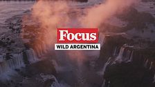 Wild Argentina