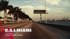 C.S.I. Miami