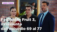 Forbidden Fruit 3, il riassunto degli episodi 69-77