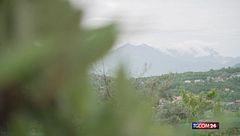 Monteviale, il sindaco cow-boy che accudisce undici mucche