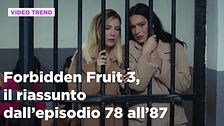 Forbidden Fruit 3, il riassunto degli episodi 78-87