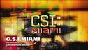 C.S.I. Miami