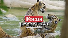 Dall'alba al tramonto