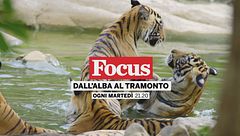 Dall'alba al tramonto