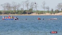 Germania, la balena Timmy si blocca di nuovo: soccorsi in azione