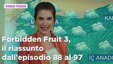 Forbidden Fruit 3, il riassunto degli episodi 88-97