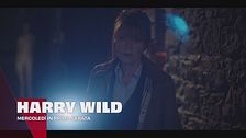 Harry Wild - La signora del delitto
