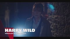 Harry Wild - La signora del delitto