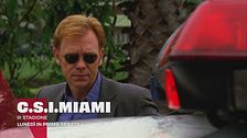 C.S.I. Miami