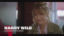 Harry Wild
