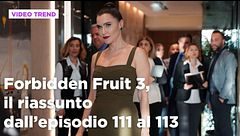 Forbidden Fruit 3, il riassunto degli episodi 111-113