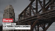 La terra dopo l'uomo
