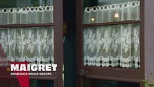 Maigret e il ladro di gioielli