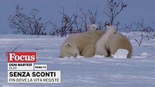 Senza sconti - Fin dove la vita resiste